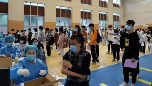 杨一凡案件爆料最新消息,揭秘背后惊人内幕 第3张 杨一凡案件爆料最新消息,揭秘背后惊人内幕 第3张